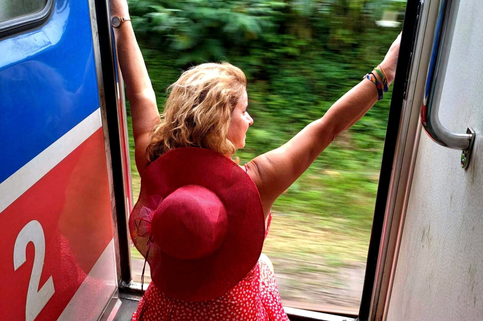 Scenic Train Journey in Sri Lanka