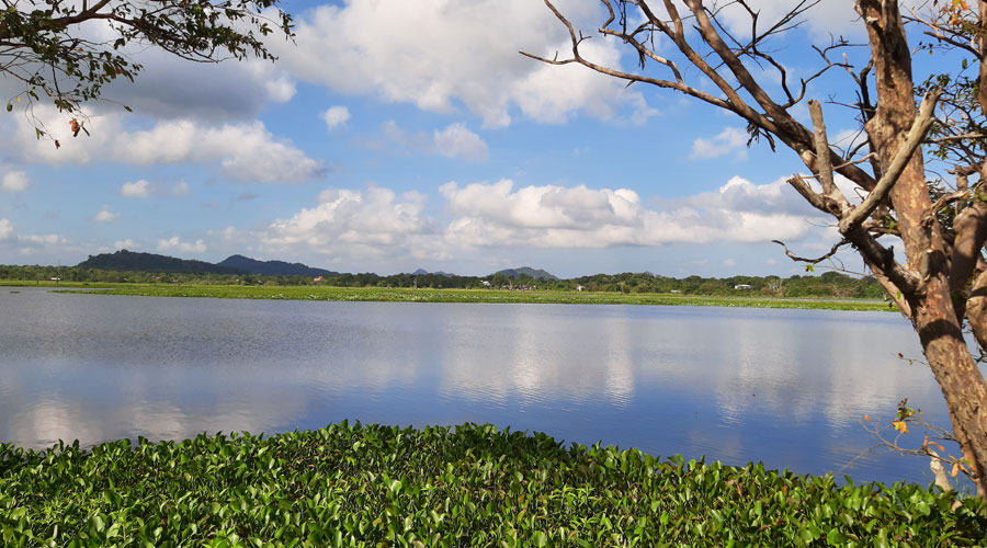 dambulla